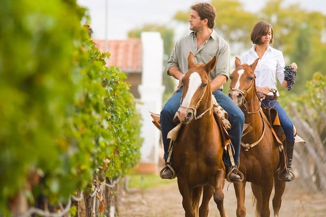 Private driver from Florence: Siena, San Gimignano, Pisa 12 hours - What the price means for three people