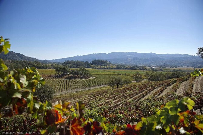 Private Limo Wine Tours in Sonoma and Napa Valley - What comes in the limousine