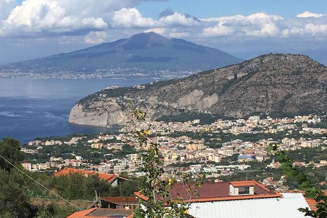Private Limousine Transfer from Rome to Sorrento - Who should book this transfer