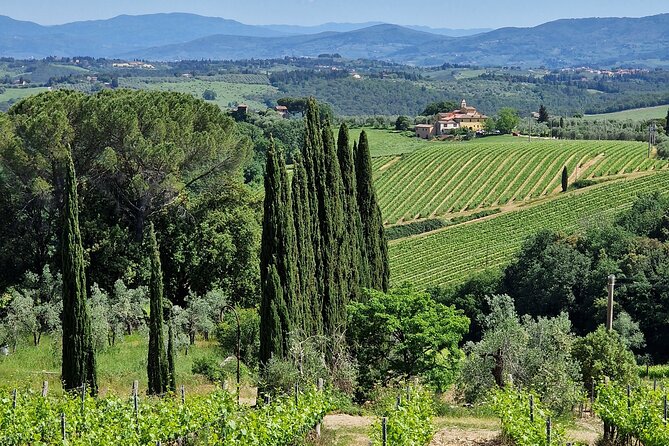 Private Wine Tour best of Chianti Tuscany 6 hours Limo Service - Should you book this Chianti wine tour?