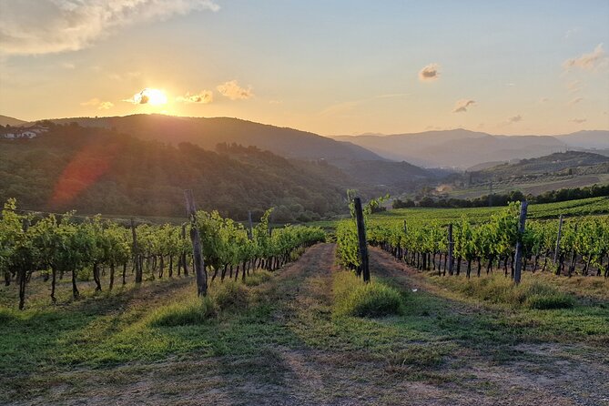 Private Wine Tour best of Chianti Tuscany 6 hours Limo Service - Piazzale Michelangelo and the Florence view