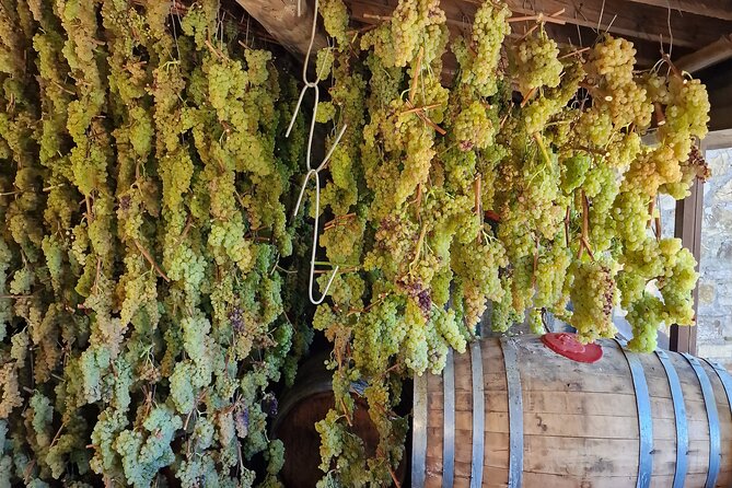 Private Wine Tour Top Wineries, Limousine Service, Florence Tours - Greve in Chianti for a short town stop
