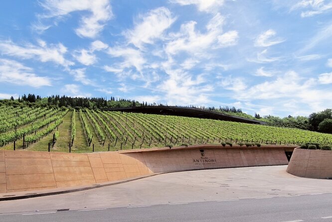 Private Wine Tour Top Wineries, Limousine Service, Florence Tours - Castello di Gabbiano and the optional second tasting