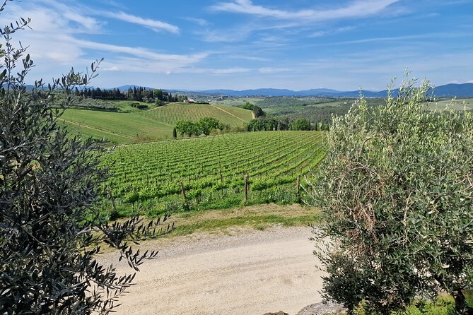 Private Wine Tour Top Wineries, Limousine Service, Florence Tours - Castellina in Chianti and the three-hour Poggio Amorelli visit