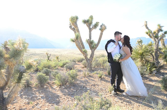 Red Rock Canyon Wedding by Private Limousine - Timing, weather, and practical comfort