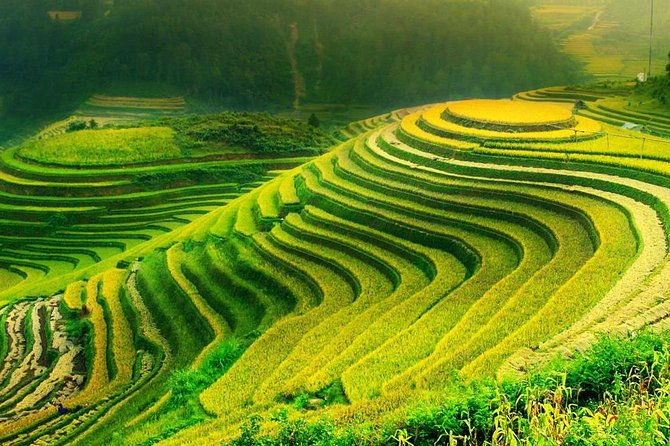 Sa Pa 2-Day Moderate Trek and Homestay Limousine Tour from Hanoi - Why this two-day Sa Pa trip works