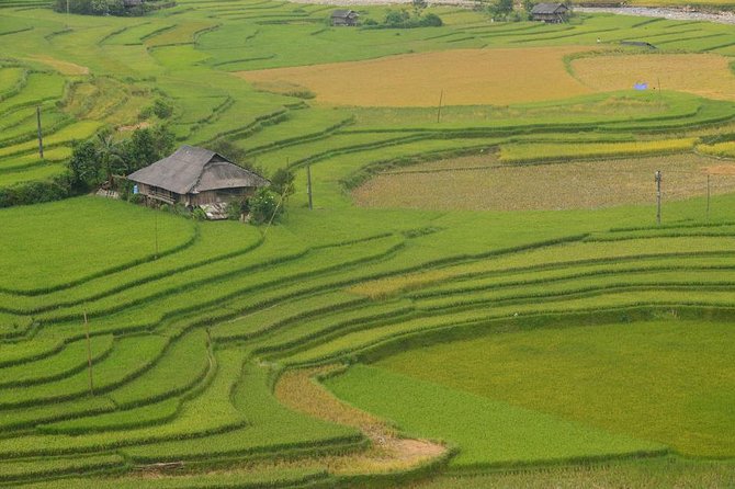 Sa Pa 2-Day Moderate Trek and Homestay Limousine Tour from Hanoi - A homestay night with useful tradeoffs