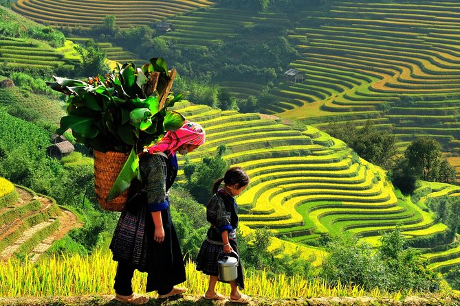 Sa Pa 2-Day Moderate Trek and Homestay Limousine Tour from Hanoi - Arriving in Sa Pa around 12:30 PM