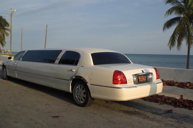 Shared Round Trip Limousine Transfer - Who should choose this transfer?