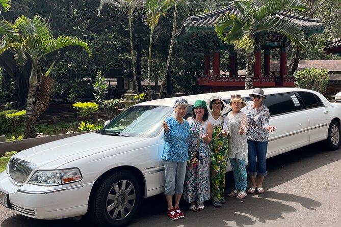 Stretch Limousine Private Transfer around the Island of Maui - Who will get the most from this tour