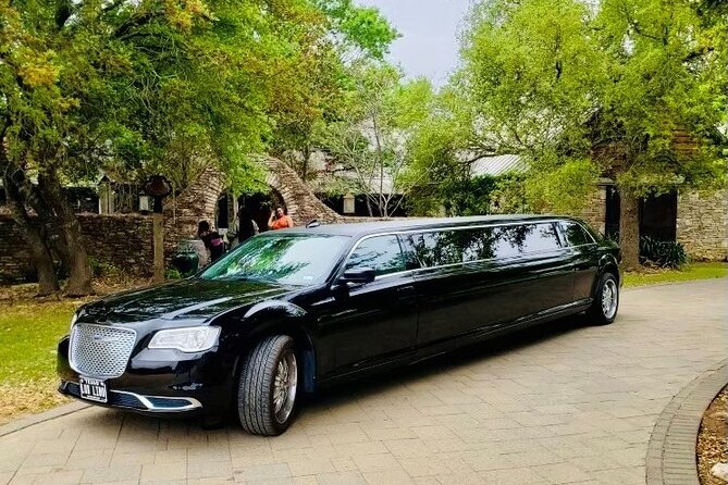 Texas Hill Country Group Wine Tour by Limousine - Salt Lick Cellars and a barbecue lunch