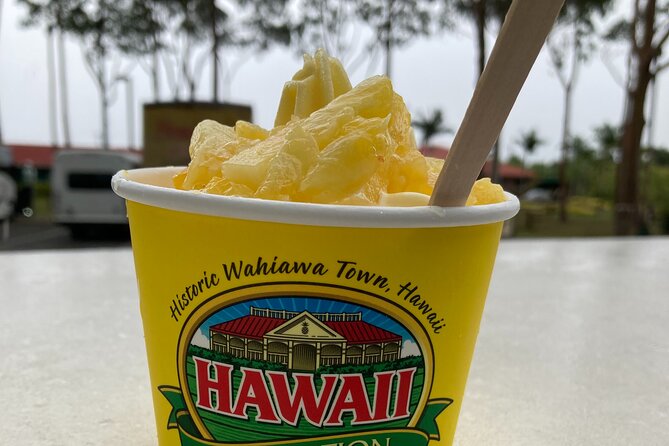 "The Dole Plantation" & "North Shore" Private Limousine VIP Tour! - Why a private limousine changes the Oahu day