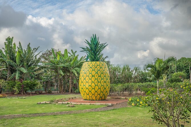 "The Dole Plantation" & "North Shore" Private Limousine VIP Tour! - Along Kamehameha Highway toward the North Shore