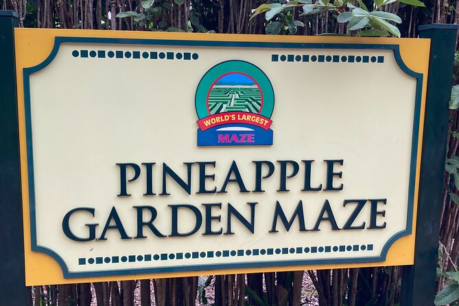 "The Dole Plantation" & "North Shore" Private Limousine VIP Tour! - Sea turtles, photo stops, and a little extra flexibility