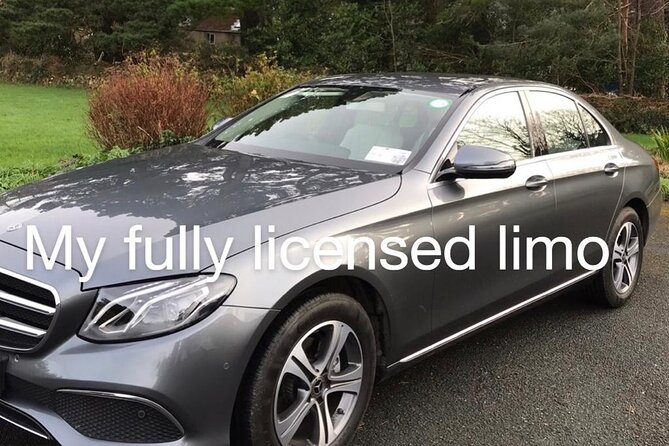 Tour Wicklow Mountains National Park in a limo with private guide - Who should book this Wicklow tour?