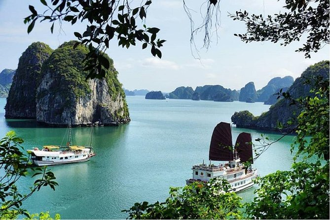 VIP Ha Long Bay 6 hour FUJI cruise with latest luxury cruise ship + limousine + highway + dinner for Japanese only - Comfort, clothing, and small extra costs